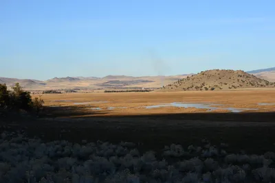 DSC_3048 (Large).JPG